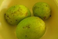manfaat-buah-bacang-doktersehat