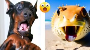 Funny Animal Videos 2023 – Comedy Voiceover! #12😹🐶🤣